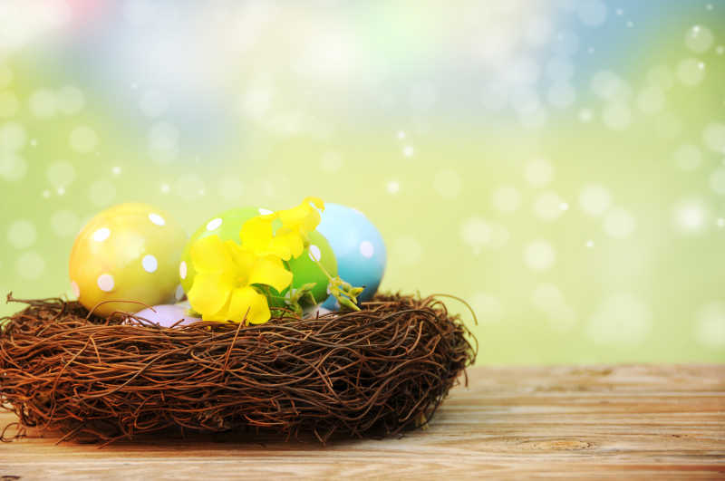 鸟窝里的复活节彩蛋