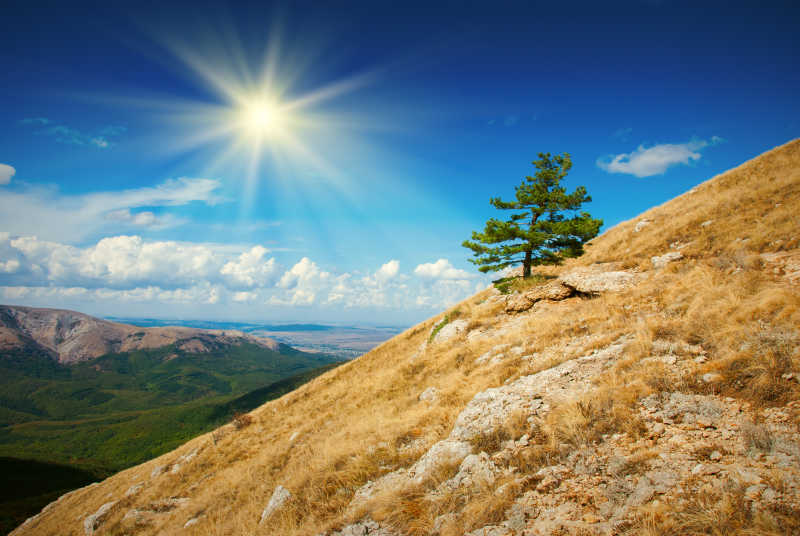 山谷中的孤独的夏季风景