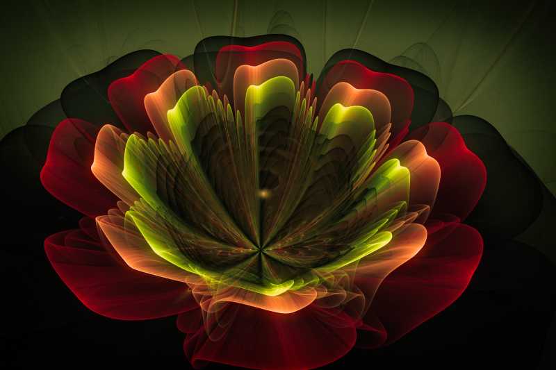 五颜六色的花案设计