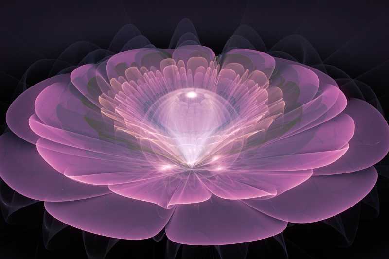 电脑设计的花朵