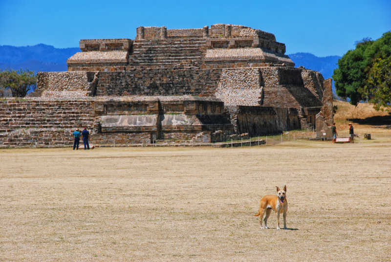 瓦哈卡的阿尔班山遗址