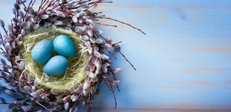 鸟巢中的复活节彩蛋