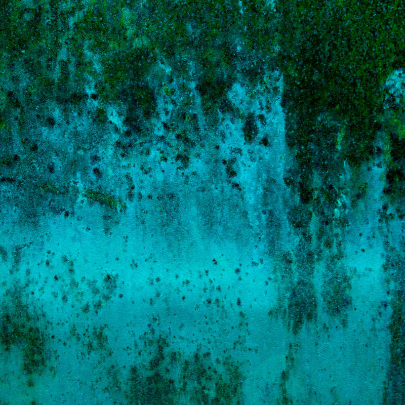 青苔水泥墙壁背景