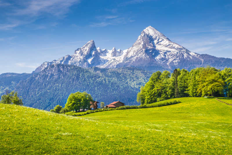 阿尔卑斯山鲜绿色的草地