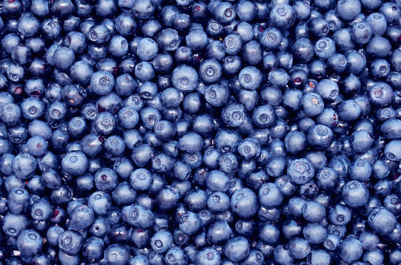 新鲜的数不胜数的蓝莓
