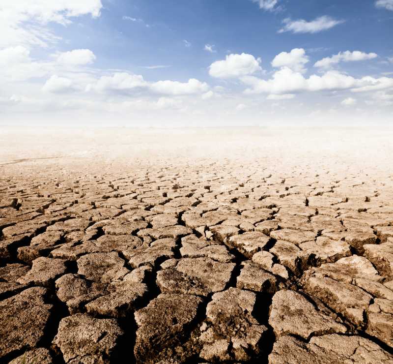 干旱的大地