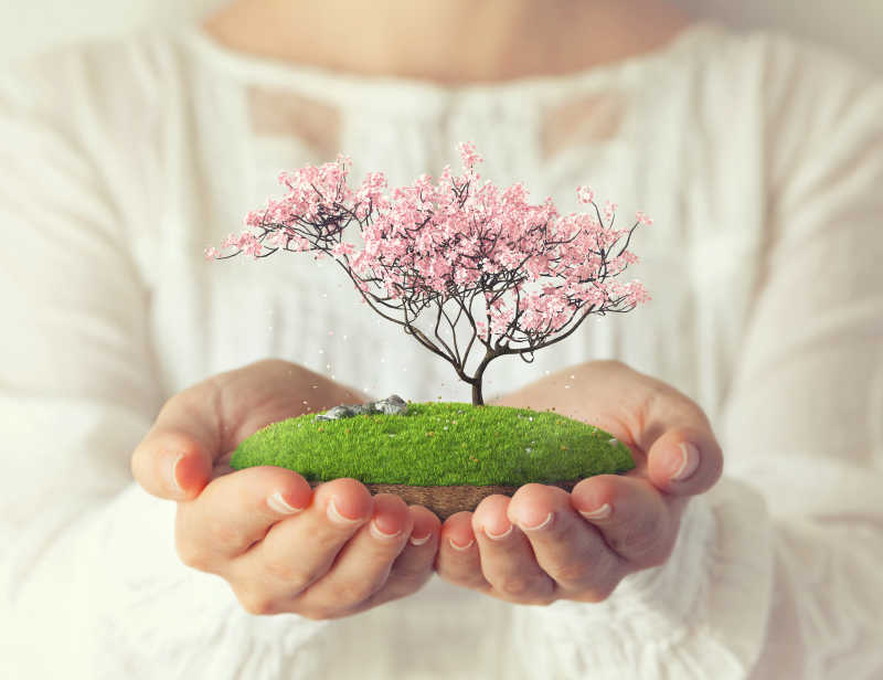 女人手里有粉红色树的神奇小岛