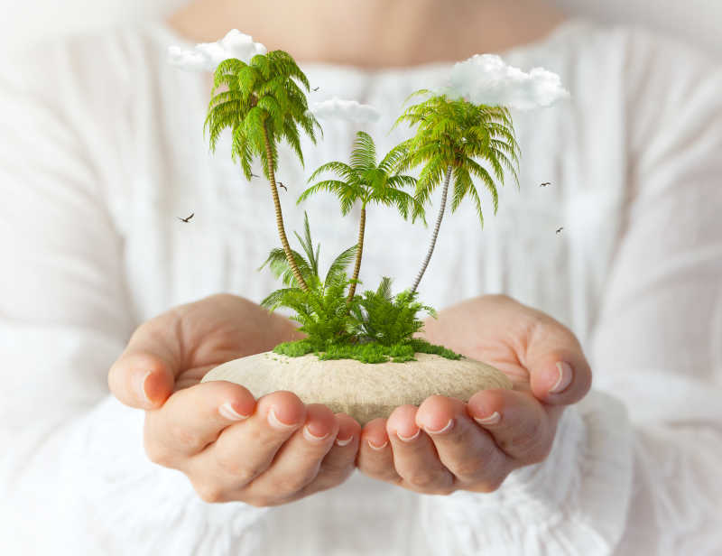 女人手捧着有棕榈树的小岛