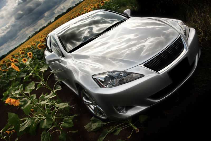 向日葵地里的银色跑车