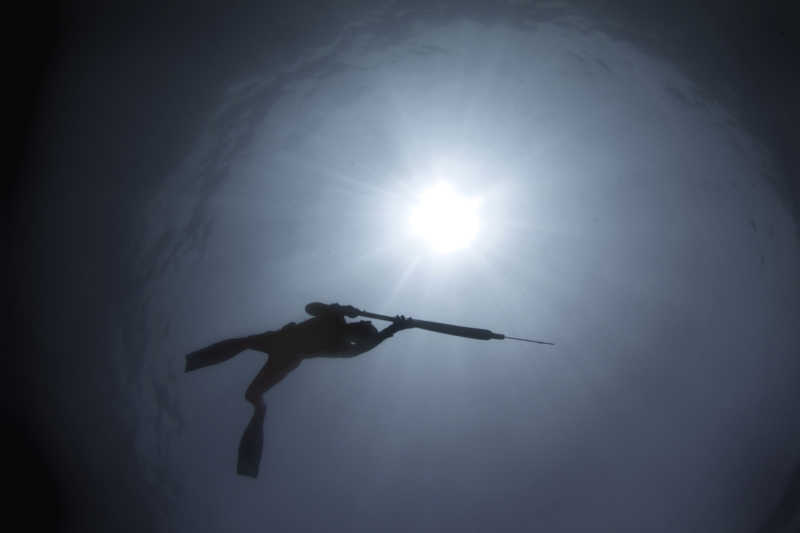 在大堡礁水下捕鱼