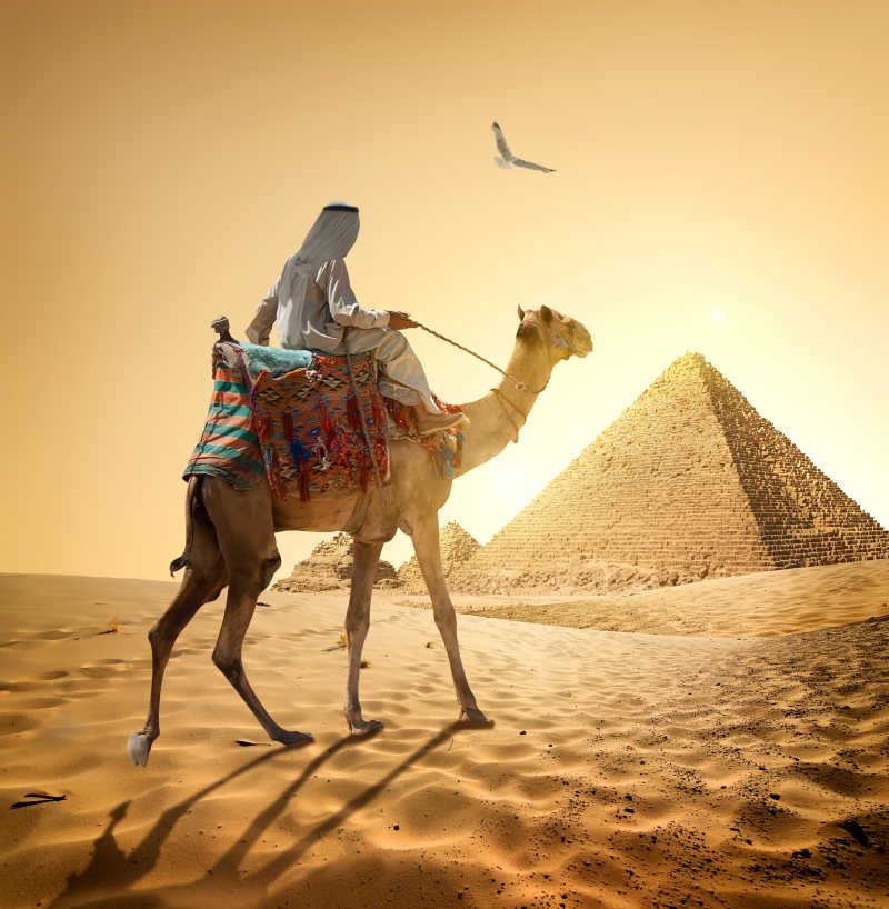金字塔与沙漠骆驼