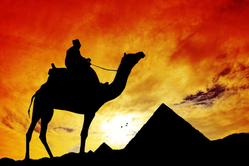 夕阳下的金字塔与骆驼