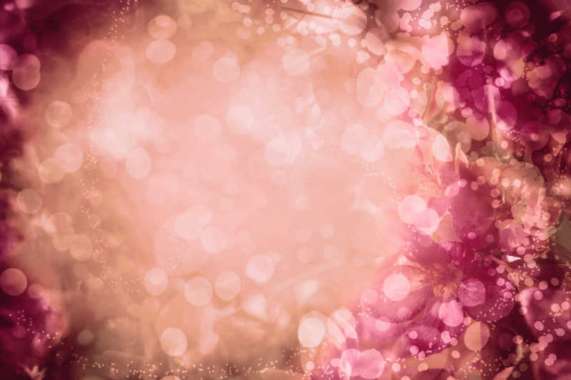 花瓣背景的光斑底纹