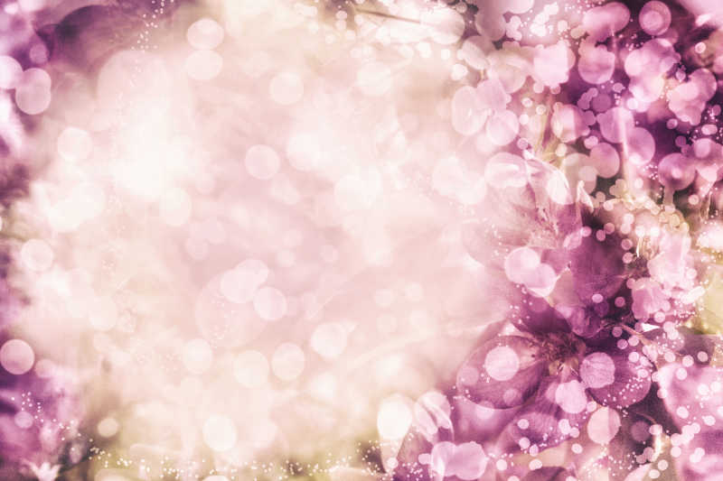 紫色的光斑底纹