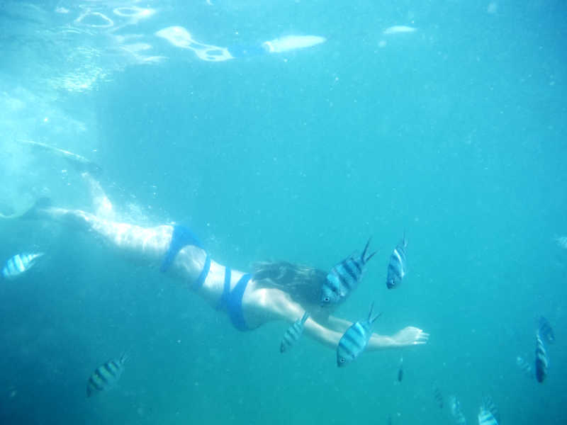 浮潜在海中的年轻女子