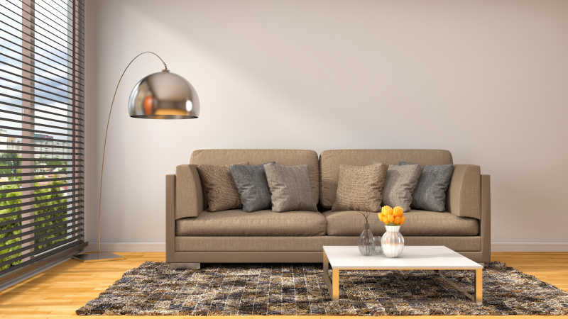 光照充足的室内棕色沙发