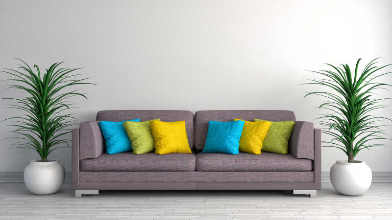 沙发边的绿色植物