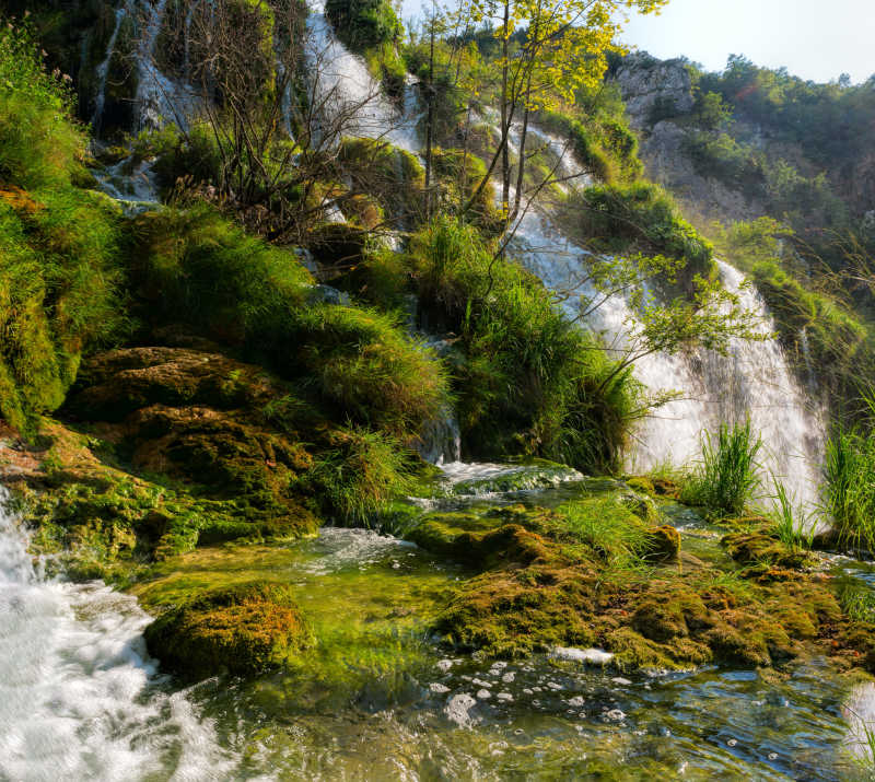 瀑布下漂亮的绿色植被