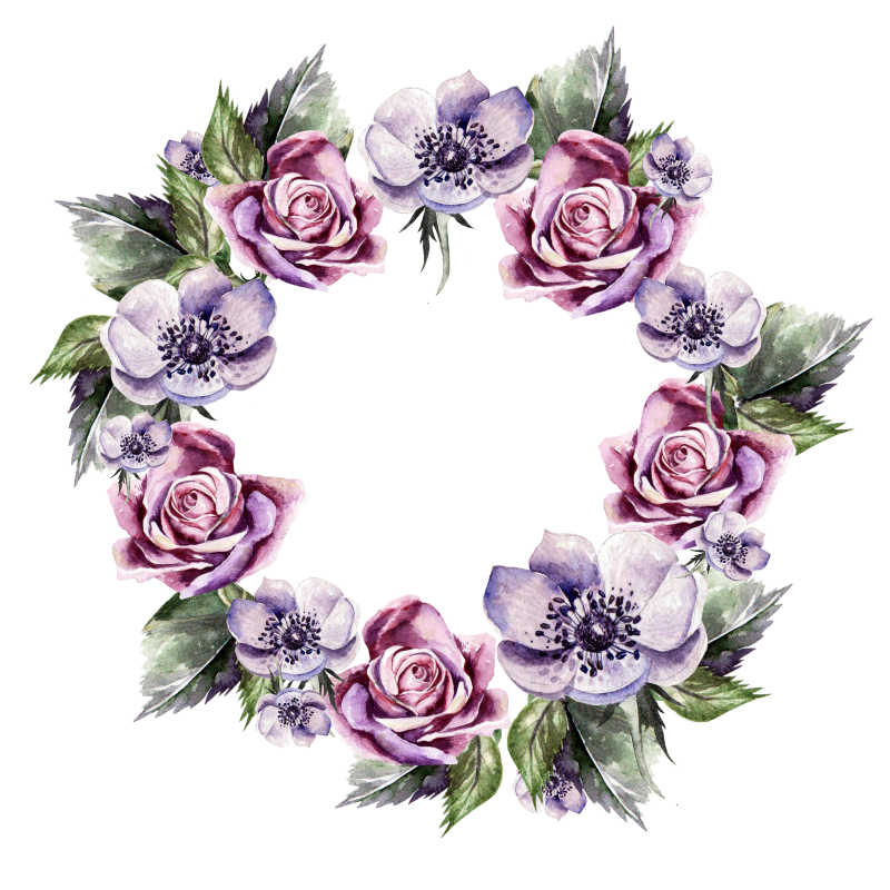 美丽的花玫瑰和银莲花水彩图案