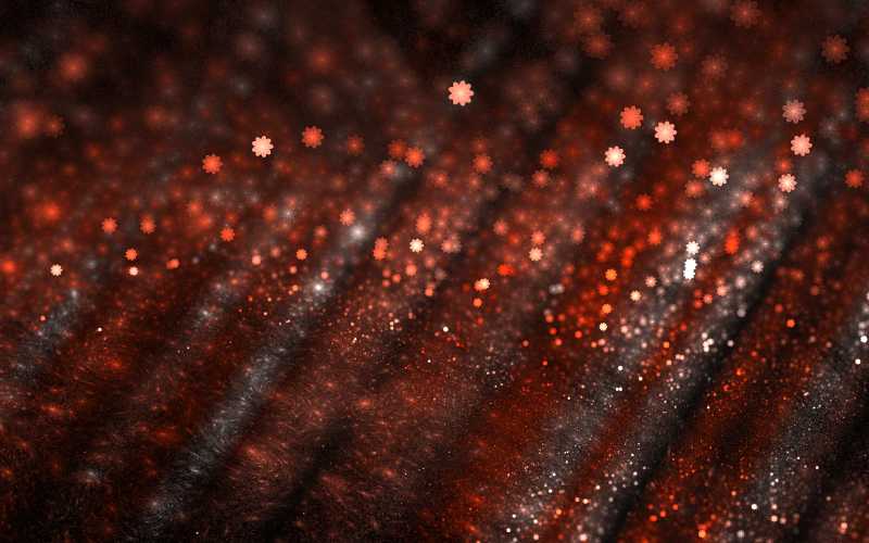 橘红色和白色的花形图案