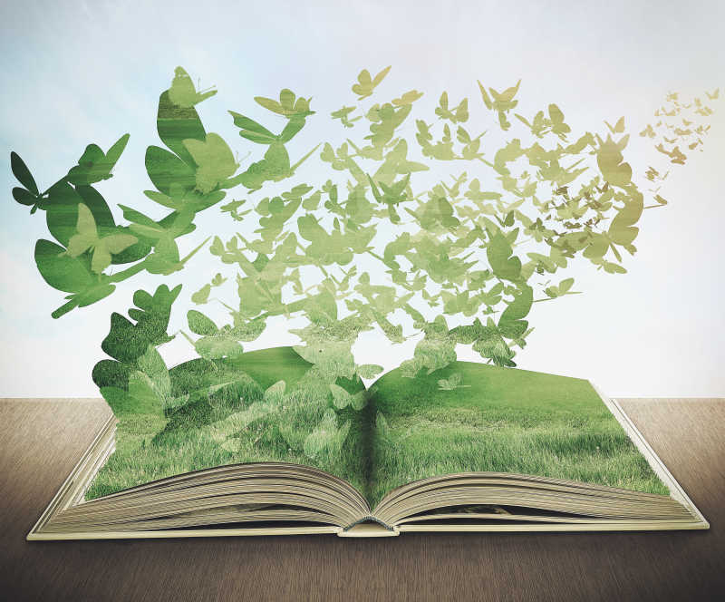 书中的绿色草地与蝴蝶