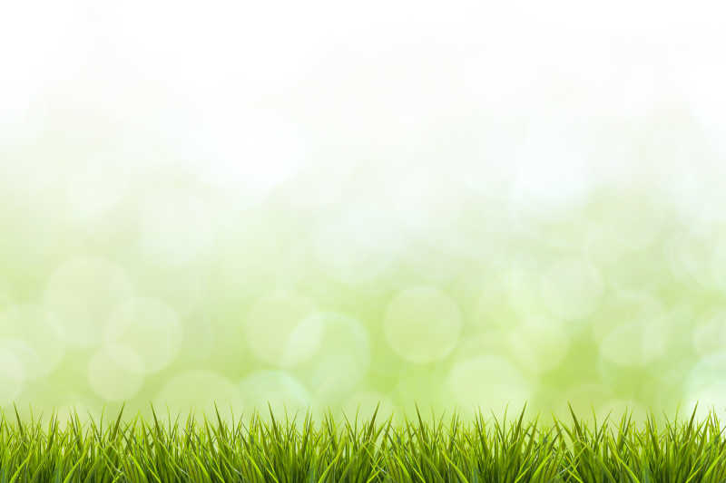 背景图片 春天新鲜的小草与绿色虚化背景素材 高清图片 摄影照片 寻图免费打包下载