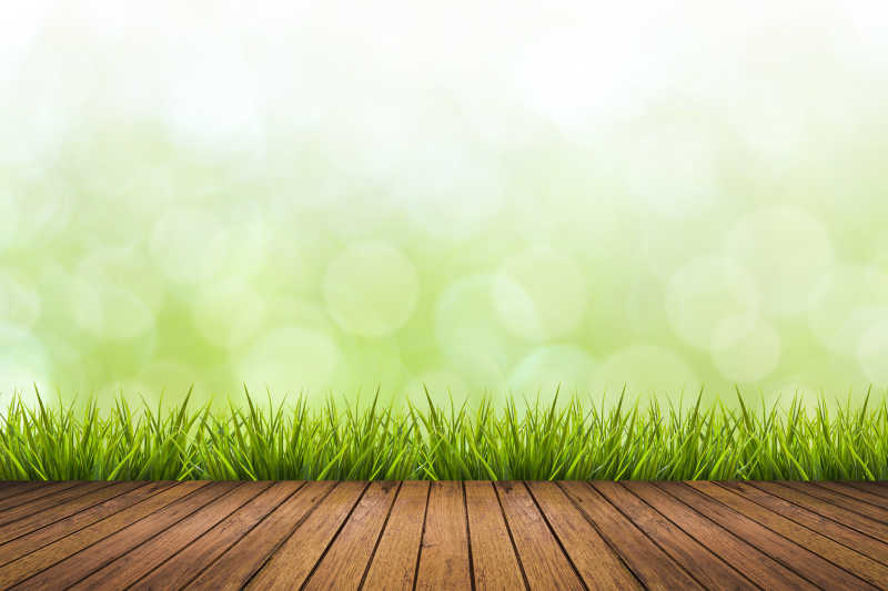 绿色迷离的背景与一排青草前的木地板