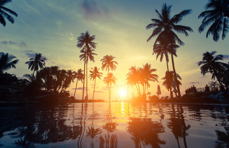 日落海滩上的棕榈树的剪影
