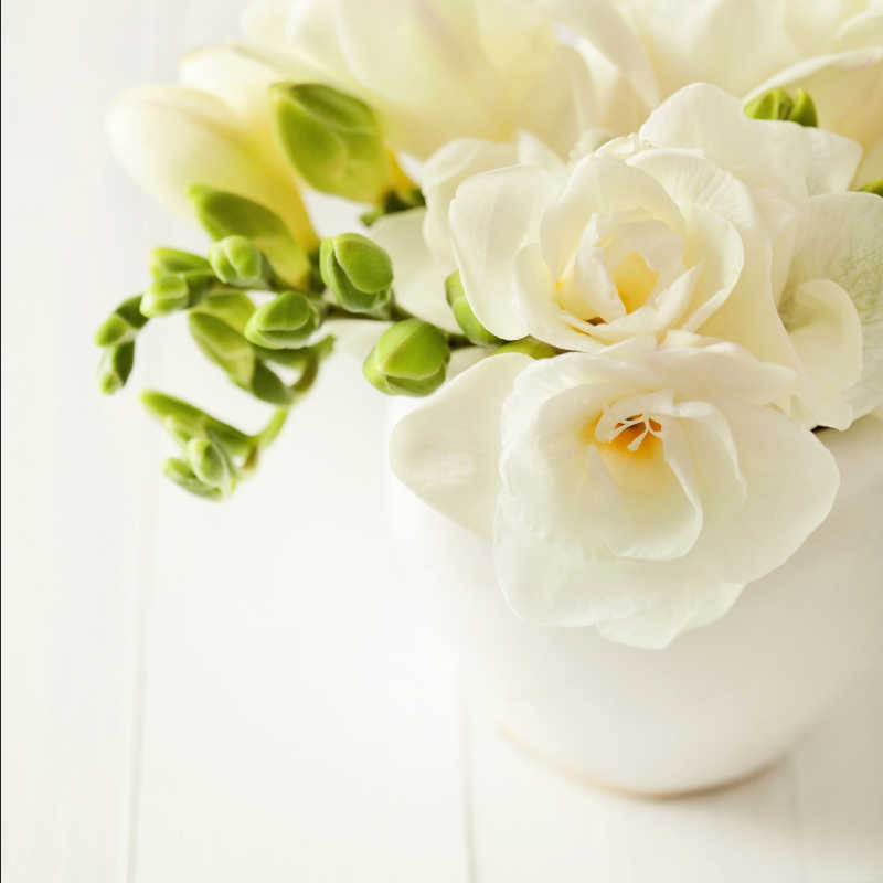 白色花瓶里的白色花束