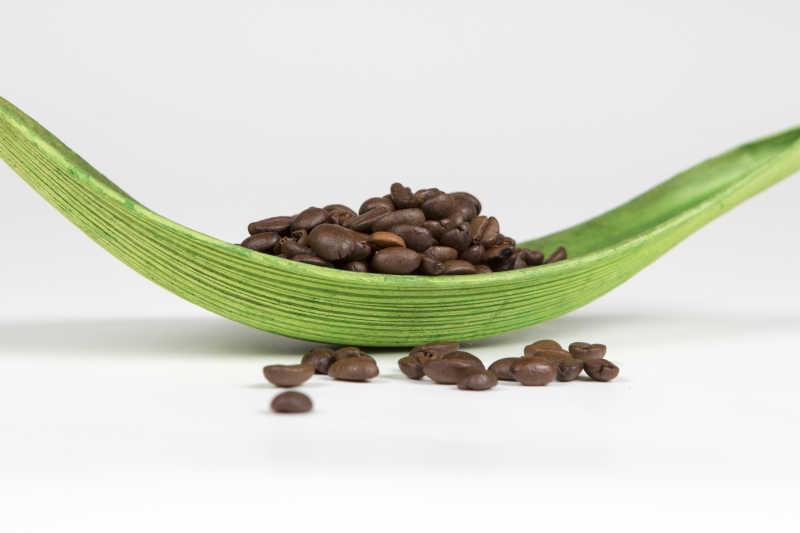 白色背景下绿色容器里的咖啡豆