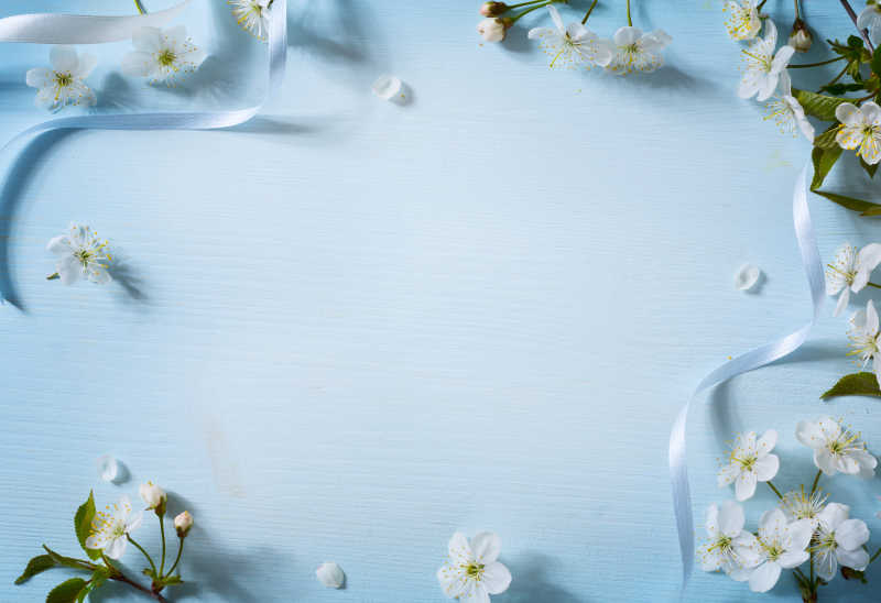 白色花朵图片 蓝色背景上的白花素材 高清图片 摄影照片 寻图免费打包下载