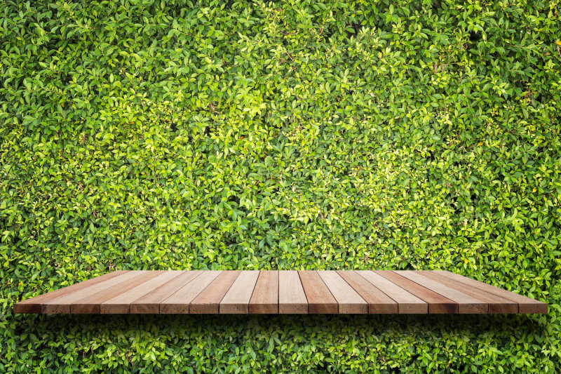 绿色植物背景和木制桌面图片 绿色植物背景上的木制地板素材 高清图片 摄影照片 寻图免费打包下载
