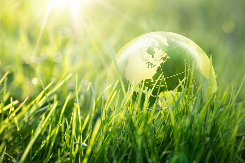 绿色草地上的生态环保玻璃球