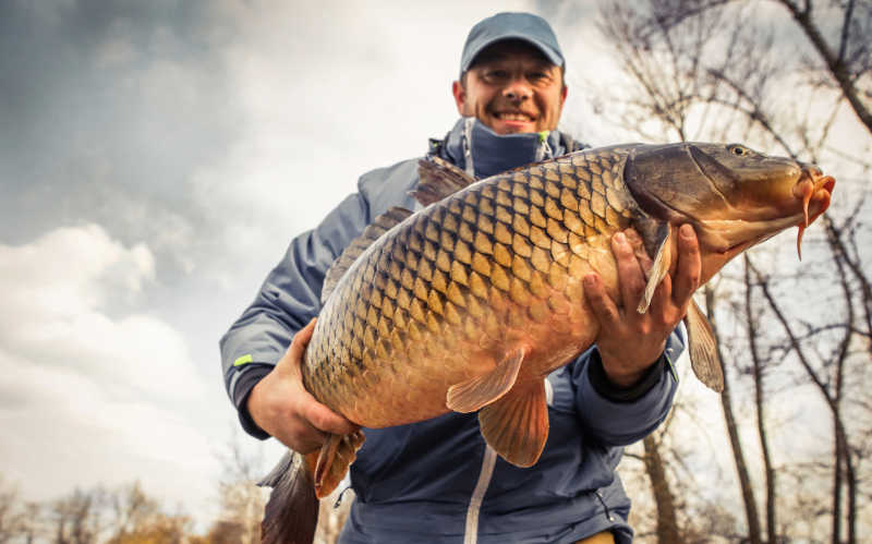钓鲤鱼垂钓者高兴与奖杯
