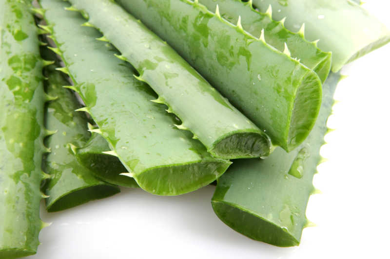 露出新鲜果肉的芦荟