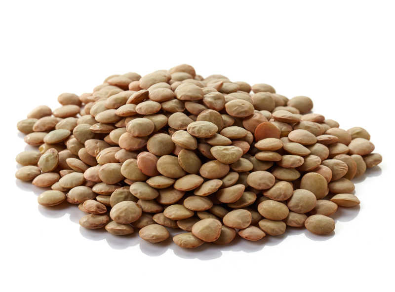 干瘪的加拿大的扁豆堆