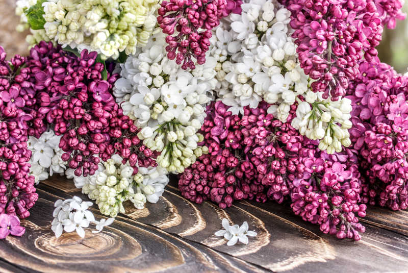 木桌上粉色和白色的花