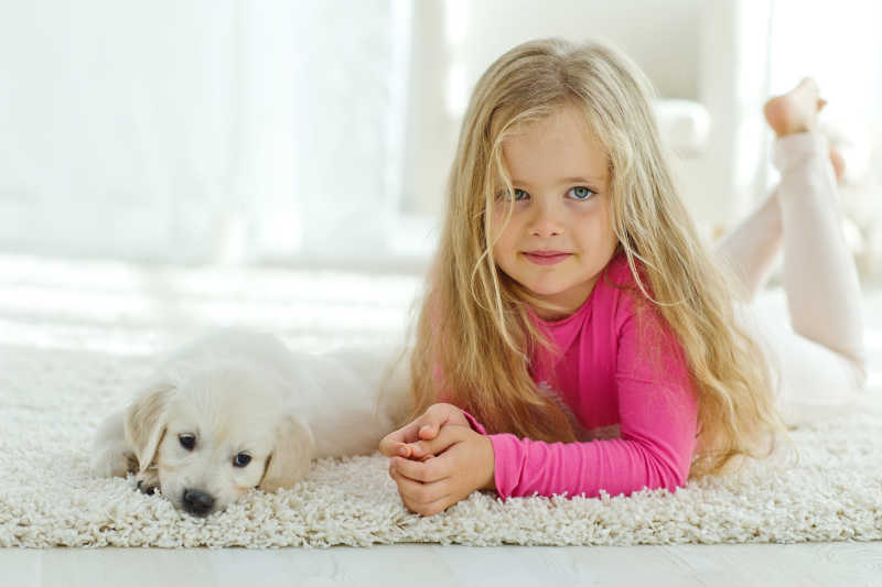 和谐相处的女孩与拉布拉多