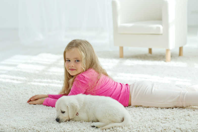 一起趴在白色毛毯上的女孩与拉布拉多