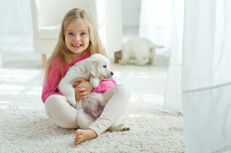 可爱的女孩与拉布拉多