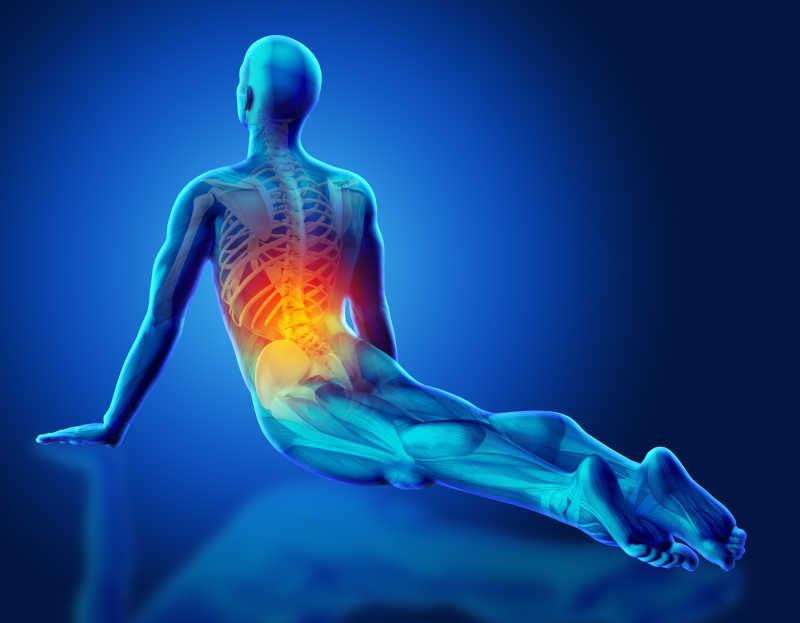 男子背部动作三维形象模拟