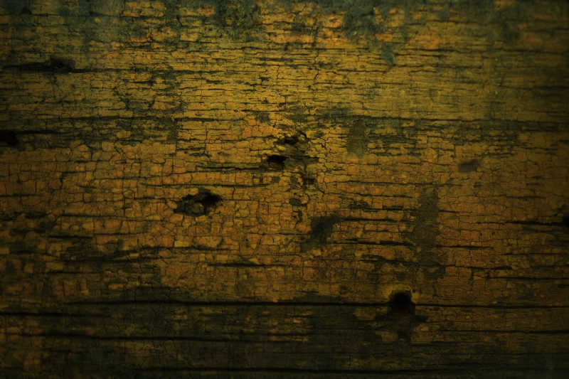 绿色自然树皮纹理背景