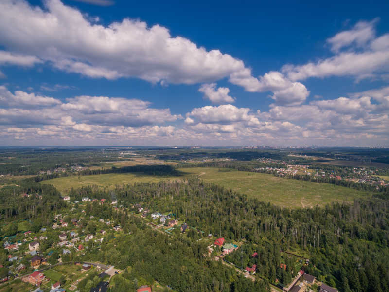 蓝天下树林环绕的莫斯科郊区