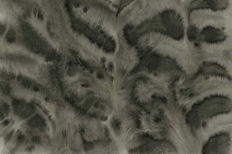 类是动物皮毛的黑色墨水画