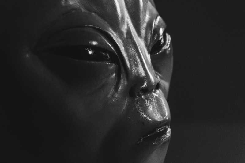 灰色的外星生物脸部特写