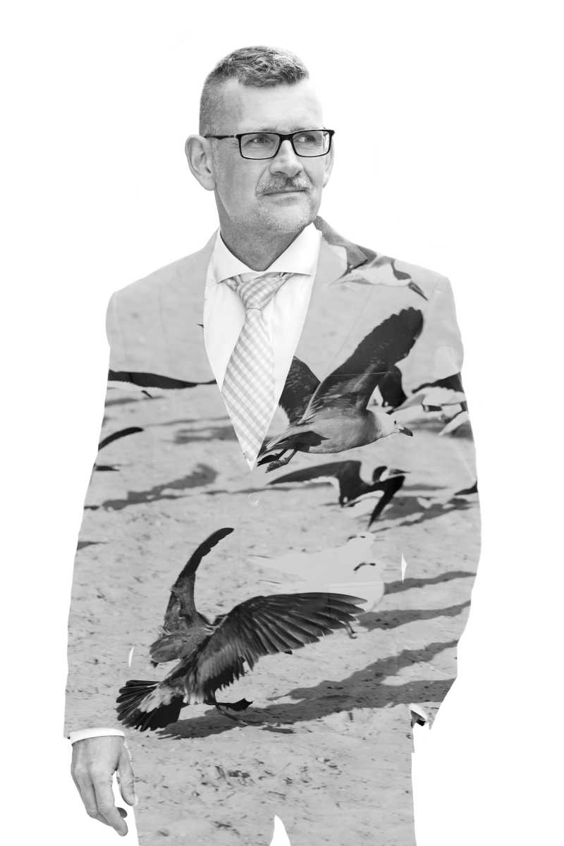 白色背景下黑衣商人和地上的鸟的双重曝光