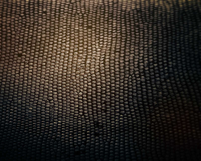 黑色鳞片纹样背景