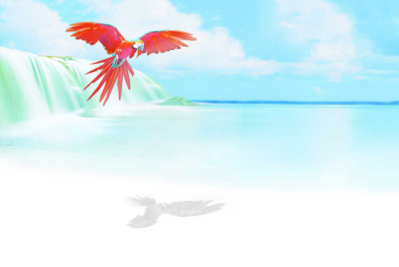 瀑布和红鹦鹉