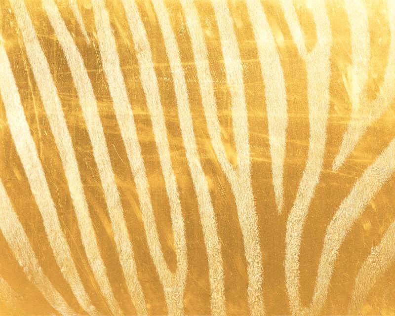 金色背景下的条形纹理