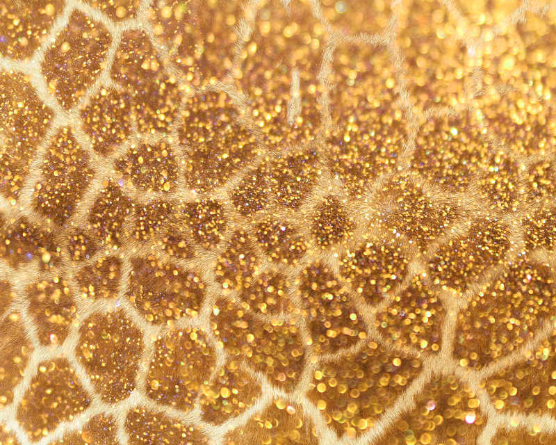 白色网状纹理下的金色颗粒